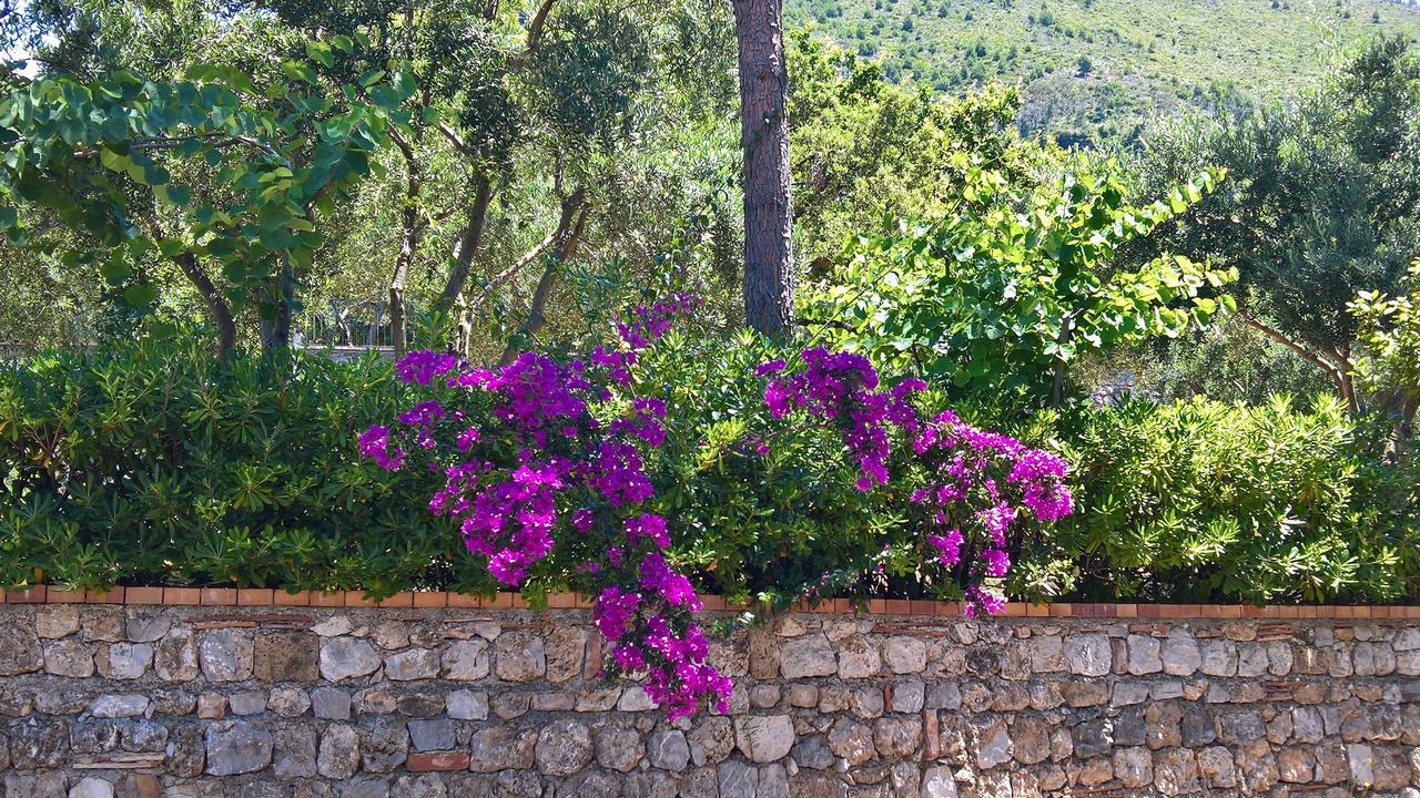 Hotel Cala Del Citro Maratea Ngoại thất bức ảnh