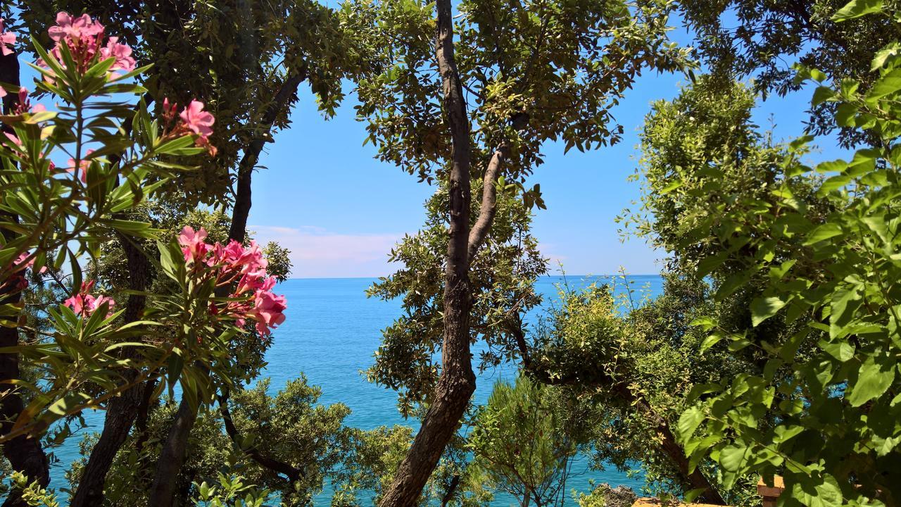 Hotel Cala Del Citro Maratea Ngoại thất bức ảnh