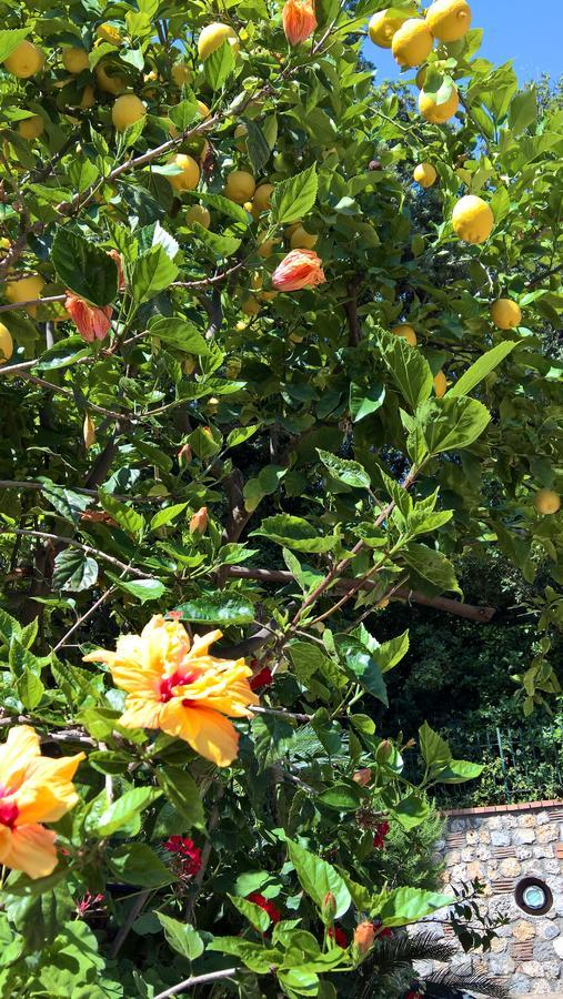 Hotel Cala Del Citro Maratea Ngoại thất bức ảnh
