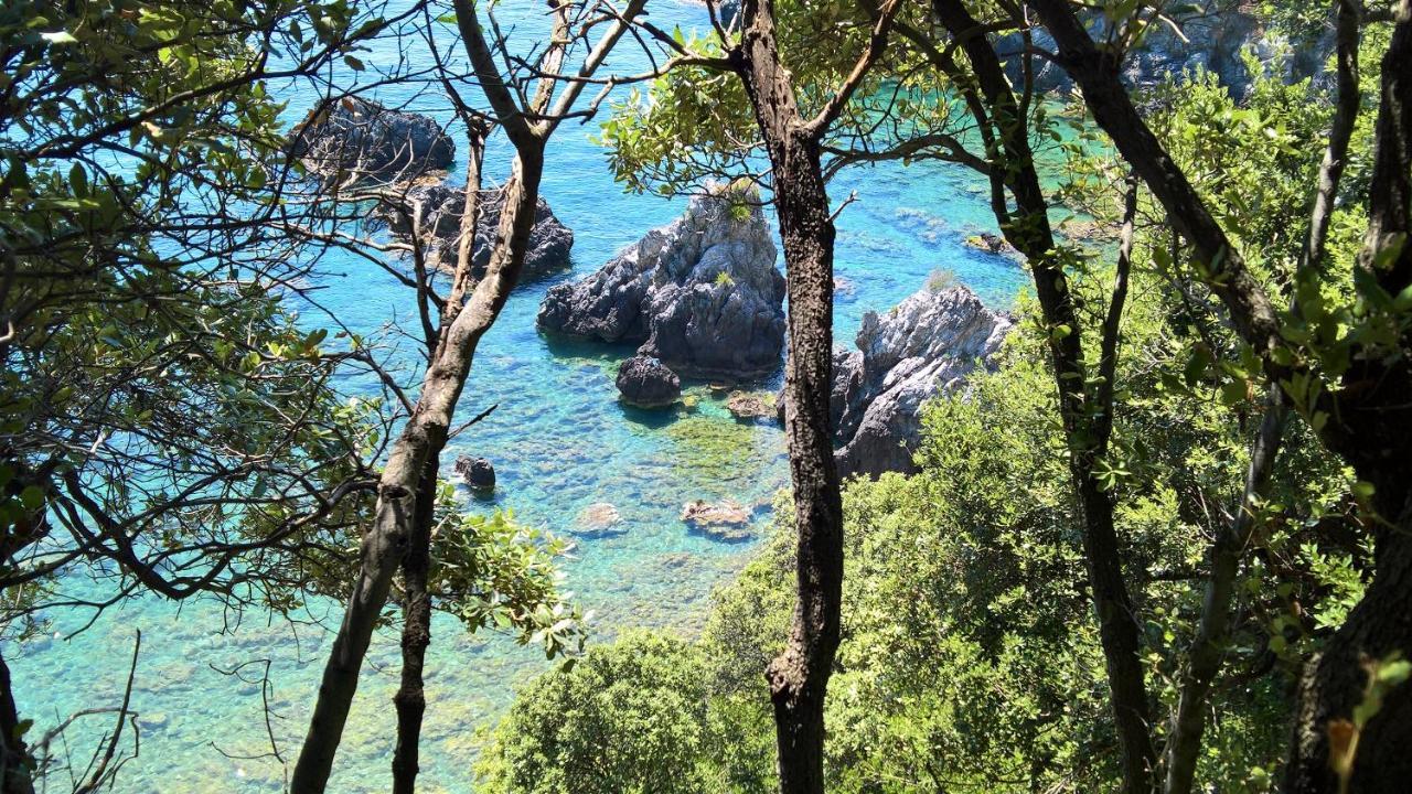 Hotel Cala Del Citro Maratea Ngoại thất bức ảnh